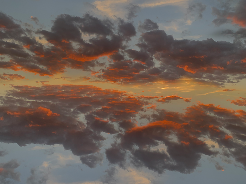 a picture of a sunset inverted